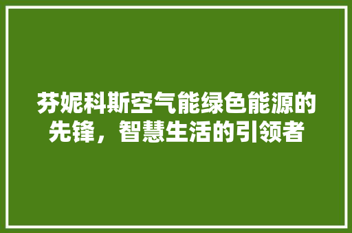 芬妮科斯空气能绿色能源的先锋，智慧生活的引领者 热水器