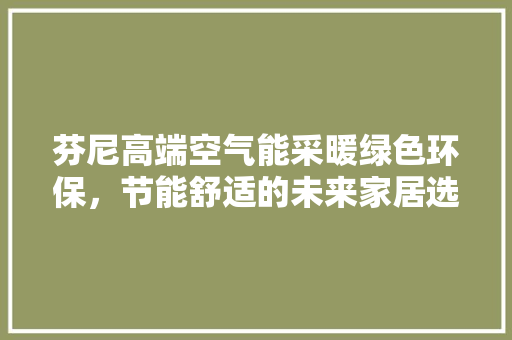 芬尼高端空气能采暖绿色环保，节能舒适的未来家居选择 水电维修