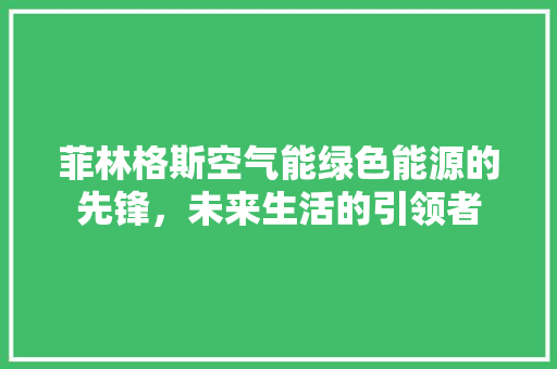 菲林格斯空气能绿色能源的先锋，未来生活的引领者 冰箱