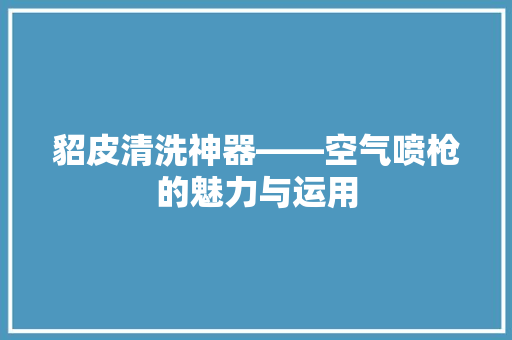 貂皮清洗神器——空气喷枪的魅力与运用 冰箱
