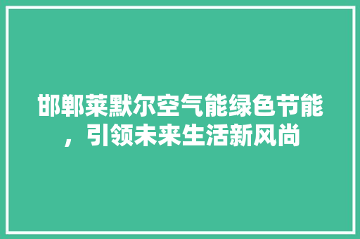邯郸莱默尔空气能绿色节能，引领未来生活新风尚 空调