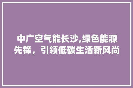 中广空气能长沙,绿色能源先锋，引领低碳生活新风尚_中广空气能长沙 中广空气能长沙,绿色能源先锋，引领低碳生活新风尚_中广空气能长沙 热水器
