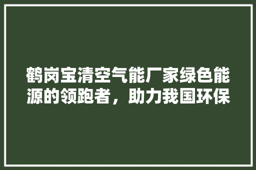 鹤岗宝清空气能厂家绿色能源的领跑者，助力我国环保事业 热水器