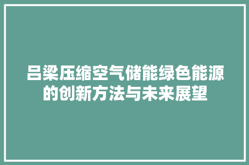 吕梁压缩空气储能绿色能源的创新方法与未来展望 清洁保养