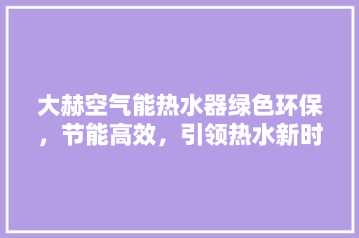 大赫空气能热水器绿色环保，节能高效，引领热水新时代 局部翻新
