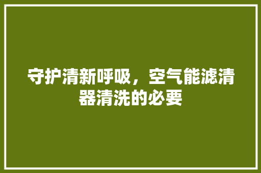 守护清新呼吸，空气能滤清器清洗的必要 冰箱