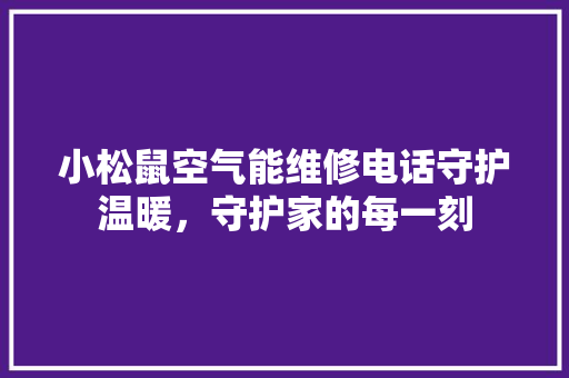 小松鼠空气能维修电话守护温暖，守护家的每一刻 清洁保养
