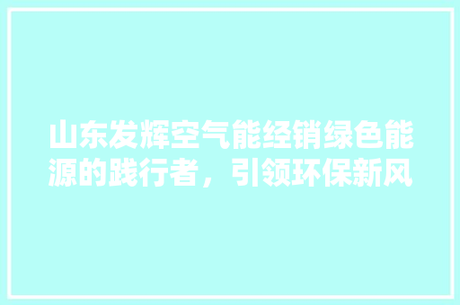 山东发辉空气能经销绿色能源的践行者，引领环保新风尚 热水器