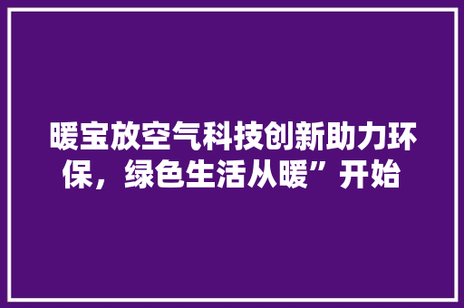 暖宝放空气科技创新助力环保，绿色生活从暖”开始 热水器