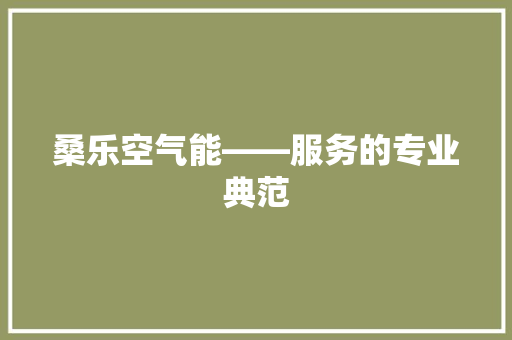 桑乐空气能——服务的专业典范 龙头管件