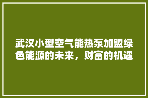 武汉小型空气能热泵加盟绿色能源的未来，财富的机遇 贴膜