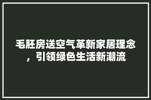 毛胚房送空气革新家居理念，引领绿色生活新潮流 灯具安装