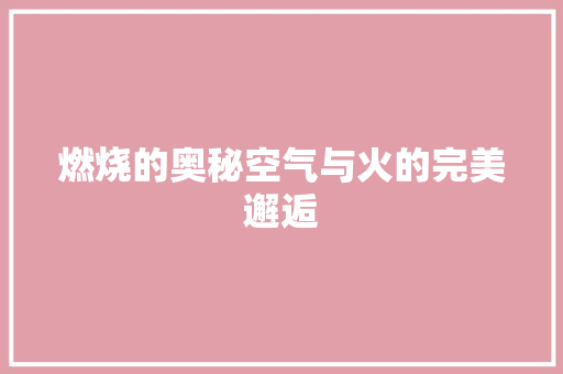 燃烧的奥秘空气与火的完美邂逅 家电维护