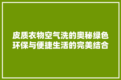 皮质衣物空气洗的奥秘绿色环保与便捷生活的完美结合 洁具维修