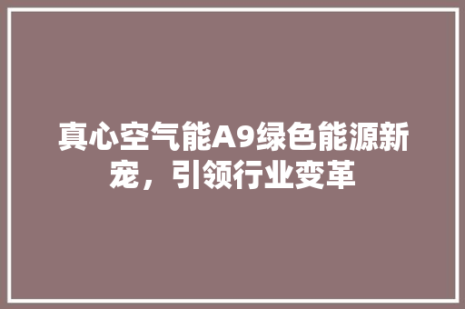 真心空气能A9绿色能源新宠，引领行业变革 家电维护