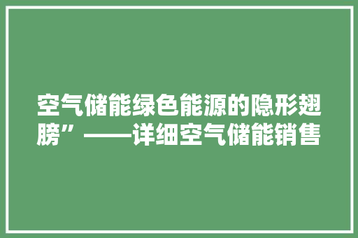 空气储能绿色能源的隐形翅膀”——详细空气储能销售方法 局部翻新