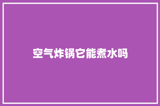 空气炸锅它能煮水吗 装修设计