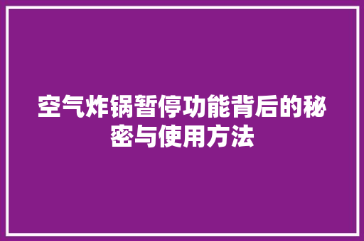 空气炸锅暂停功能背后的秘密与使用方法 翻新改色