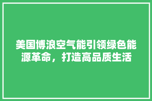 美国博浪空气能引领绿色能源革命，打造高品质生活 水电维修