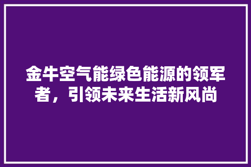 金牛空气能绿色能源的领军者，引领未来生活新风尚 旧房改造