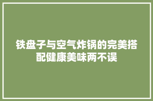 铁盘子与空气炸锅的完美搭配健康美味两不误 热水器