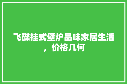 飞碟挂式壁炉品味家居生活,价格几何 家居维修 飞碟挂式壁炉品味家居生活,价格几何 家居维修