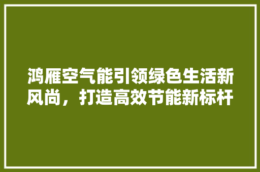 鸿雁空气能引领绿色生活新风尚，打造高效节能新标杆 洁具维修