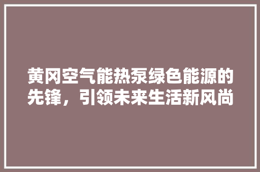 黄冈空气能热泵绿色能源的先锋，引领未来生活新风尚 清洁保养