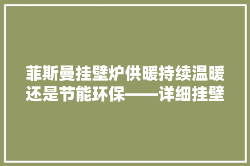 菲斯曼挂壁炉供暖持续温暖还是节能环保——详细挂壁炉供暖的持续问题 冰箱