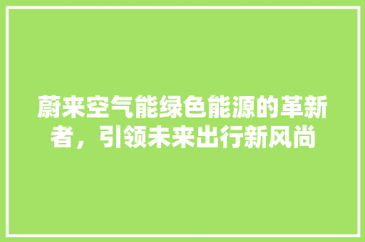 蔚来空气能绿色能源的革新者，引领未来出行新风尚 翻新改色