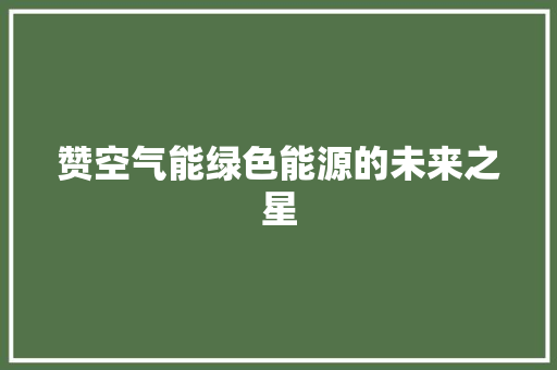 赞空气能绿色能源的未来之星 空调