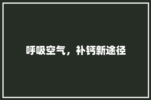 呼吸空气，补钙新途径 贴膜