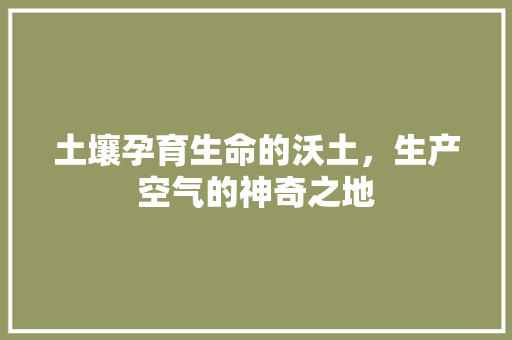 土壤孕育生命的沃土，生产空气的神奇之地 热水器