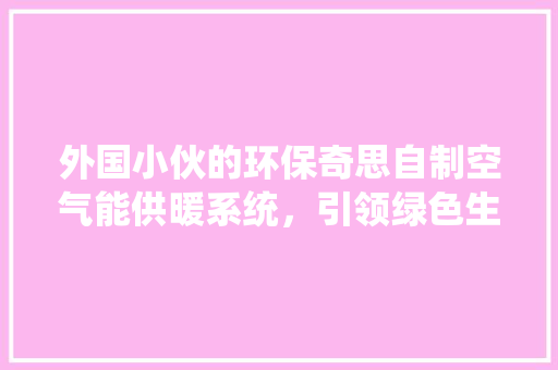 外国小伙的环保奇思自制空气能供暖系统，引领绿色生活新风尚 水电维修