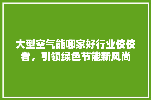 大型空气能哪家好行业佼佼者，引领绿色节能新风尚 洗衣机