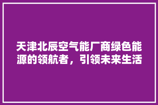 天津北辰空气能厂商绿色能源的领航者，引领未来生活新风尚 家电维护