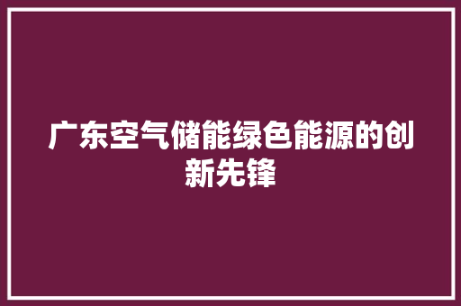 广东空气储能绿色能源的创新先锋 水电维修