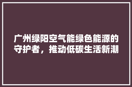 广州绿阳空气能绿色能源的守护者，推动低碳生活新潮流 翻新改色