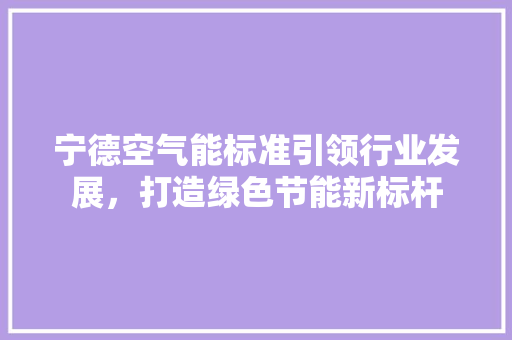宁德空气能标准引领行业发展，打造绿色节能新标杆 旧房改造
