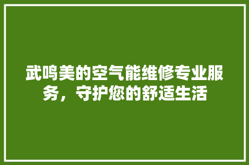 武鸣美的空气能维修专业服务，守护您的舒适生活 家电维护