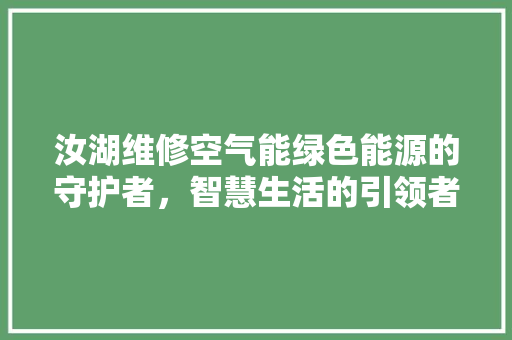 汝湖维修空气能绿色能源的守护者，智慧生活的引领者 空调