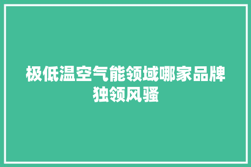 极低温空气能领域哪家品牌独领风骚 清洁保养