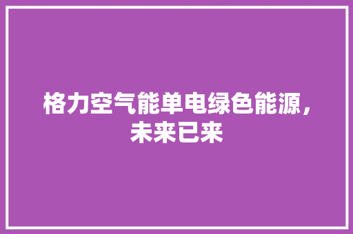 格力空气能单电绿色能源，未来已来 翻新改色