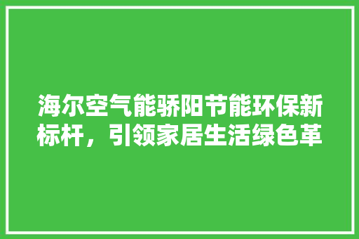 海尔空气能骄阳节能环保新标杆，引领家居生活绿色革命 家电维护