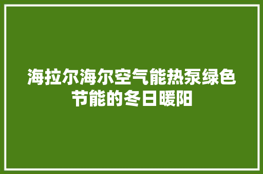 海拉尔海尔空气能热泵绿色节能的冬日暖阳 旧房改造
