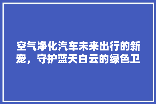 空气净化汽车未来出行的新宠，守护蓝天白云的绿色卫士 洗衣机