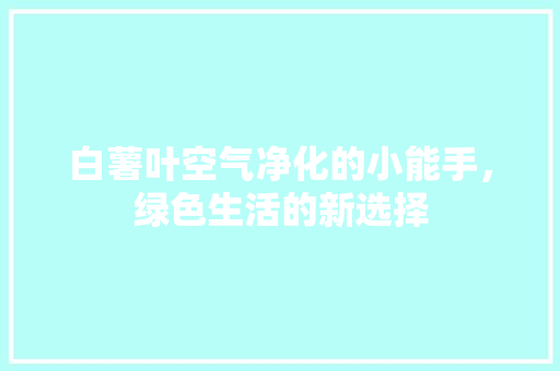 白薯叶空气净化的小能手，绿色生活的新选择 洗衣机
