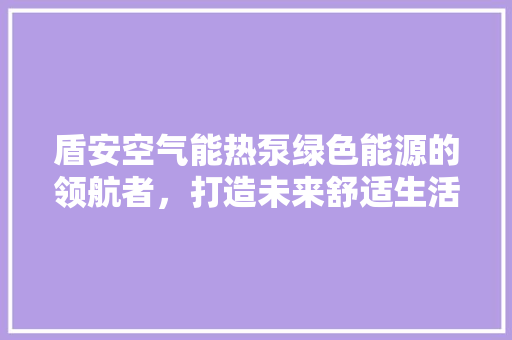 盾安空气能热泵绿色能源的领航者，打造未来舒适生活 翻新改色