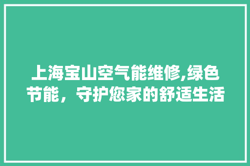 上海宝山空气能维修,绿色节能，守护您家的舒适生活_上海宝山空气能维修 上海宝山空气能维修,绿色节能，守护您家的舒适生活_上海宝山空气能维修 家具修理