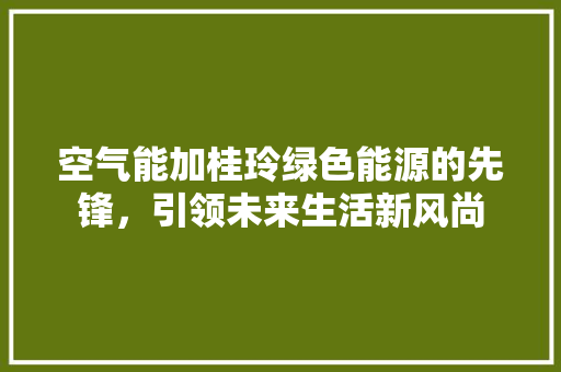空气能加桂玲绿色能源的先锋，引领未来生活新风尚 家居维修